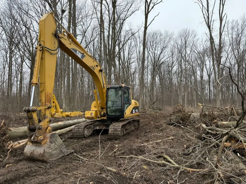 Yellow CAT excavator with a thumb working among felled trunks and broken brush in a bare-limbed woodlot, ground torn up under an overcast winter sky, Short Excavating, serving Arcadia, IN