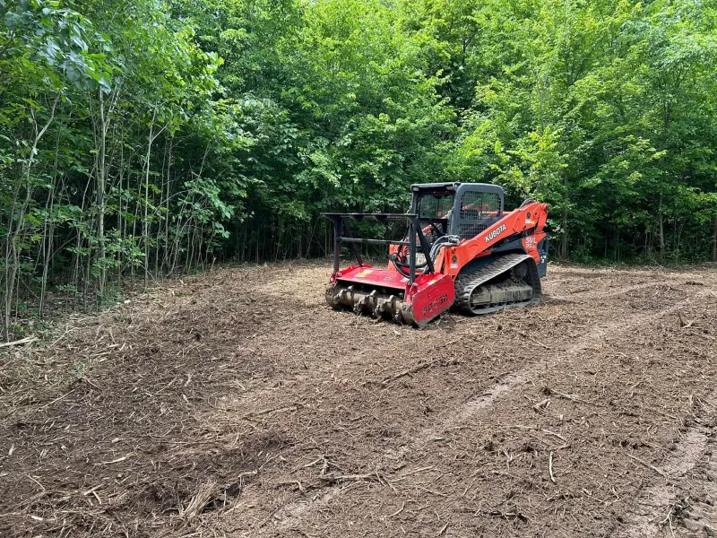 Orange Kubota track loader with a red forestry mulcher head sitting on a freshly mulched clearing, a wall of green summer hardwoods behind it, Short Excavating, serving Arcadia, IN